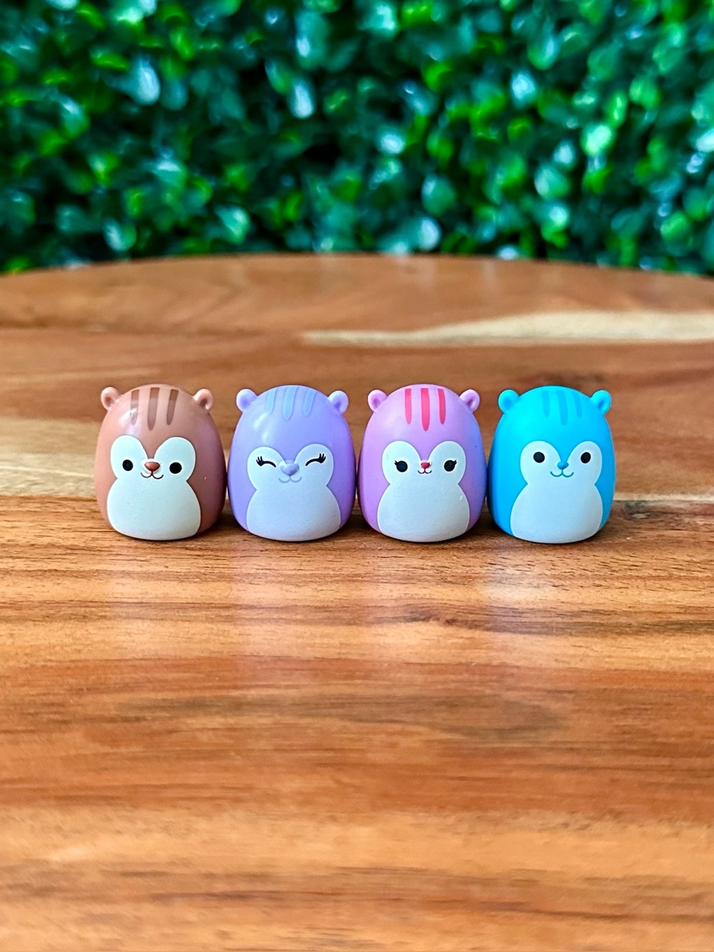 Squish-a-longs by Squishmallows Squirrel Bundle